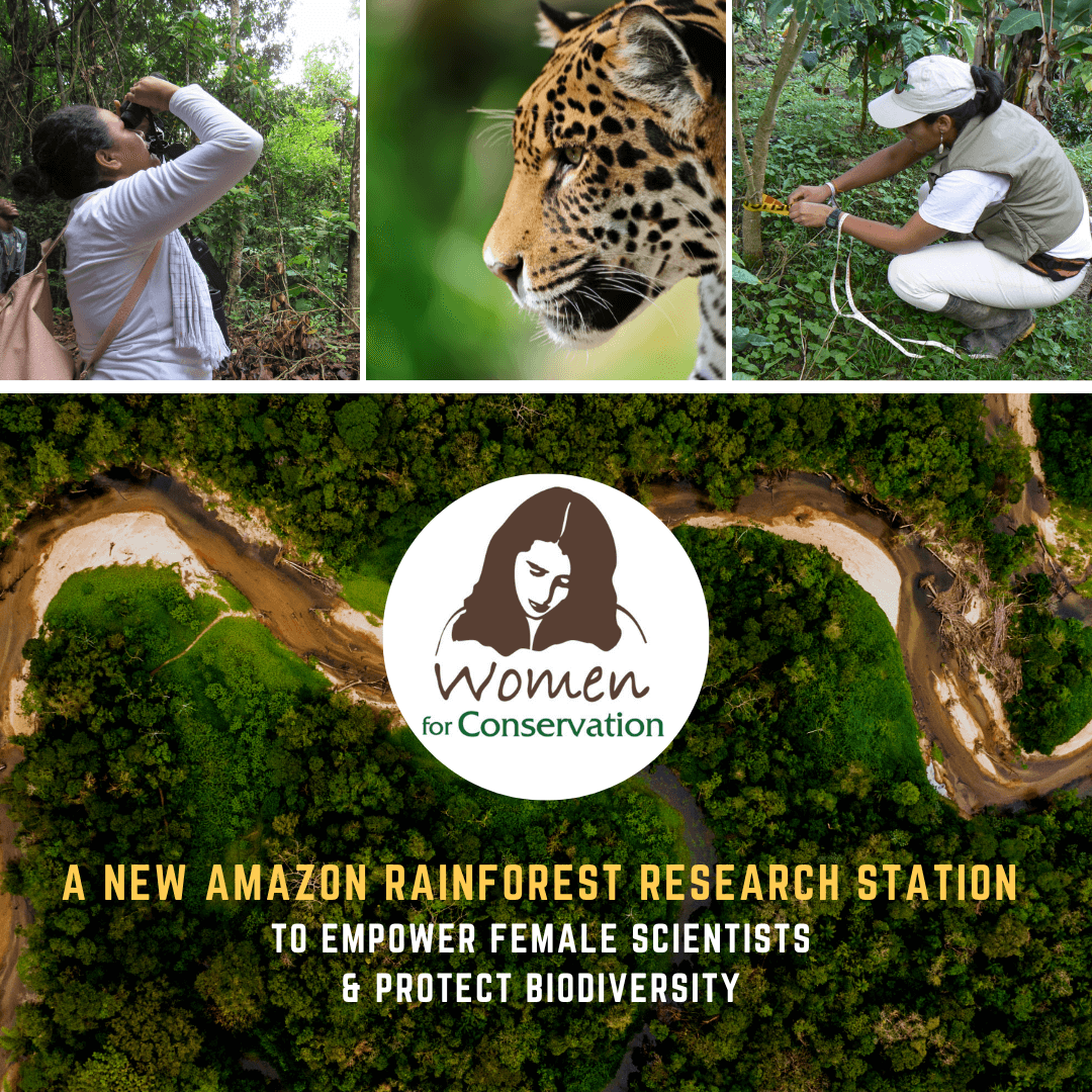 W4C Announces Plan for New Amazon Rainforest Research Station
