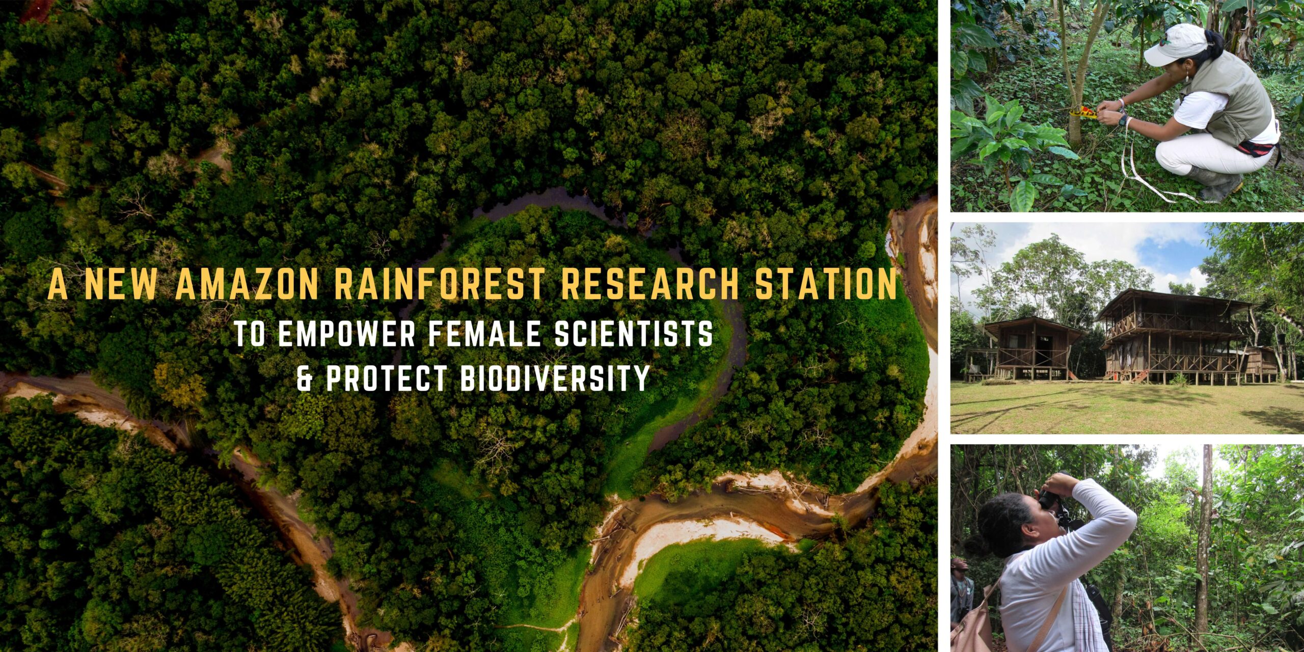 Urgent Appeal Amazon - Amazon Rainforest Research Station