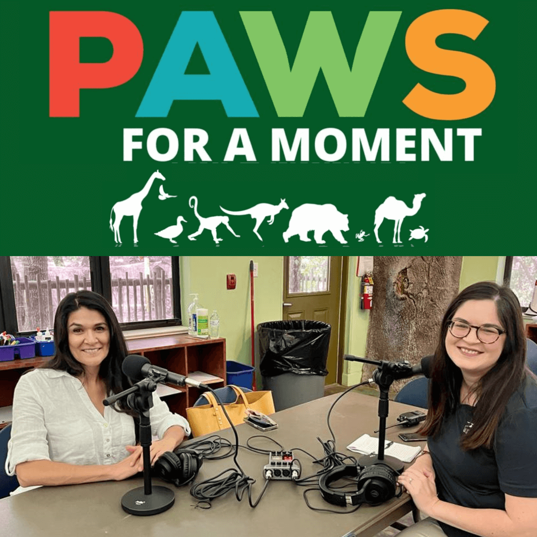 Sara Inés Lara Featured on Brevard Zoo's 'Paws for a Moment' Podcast