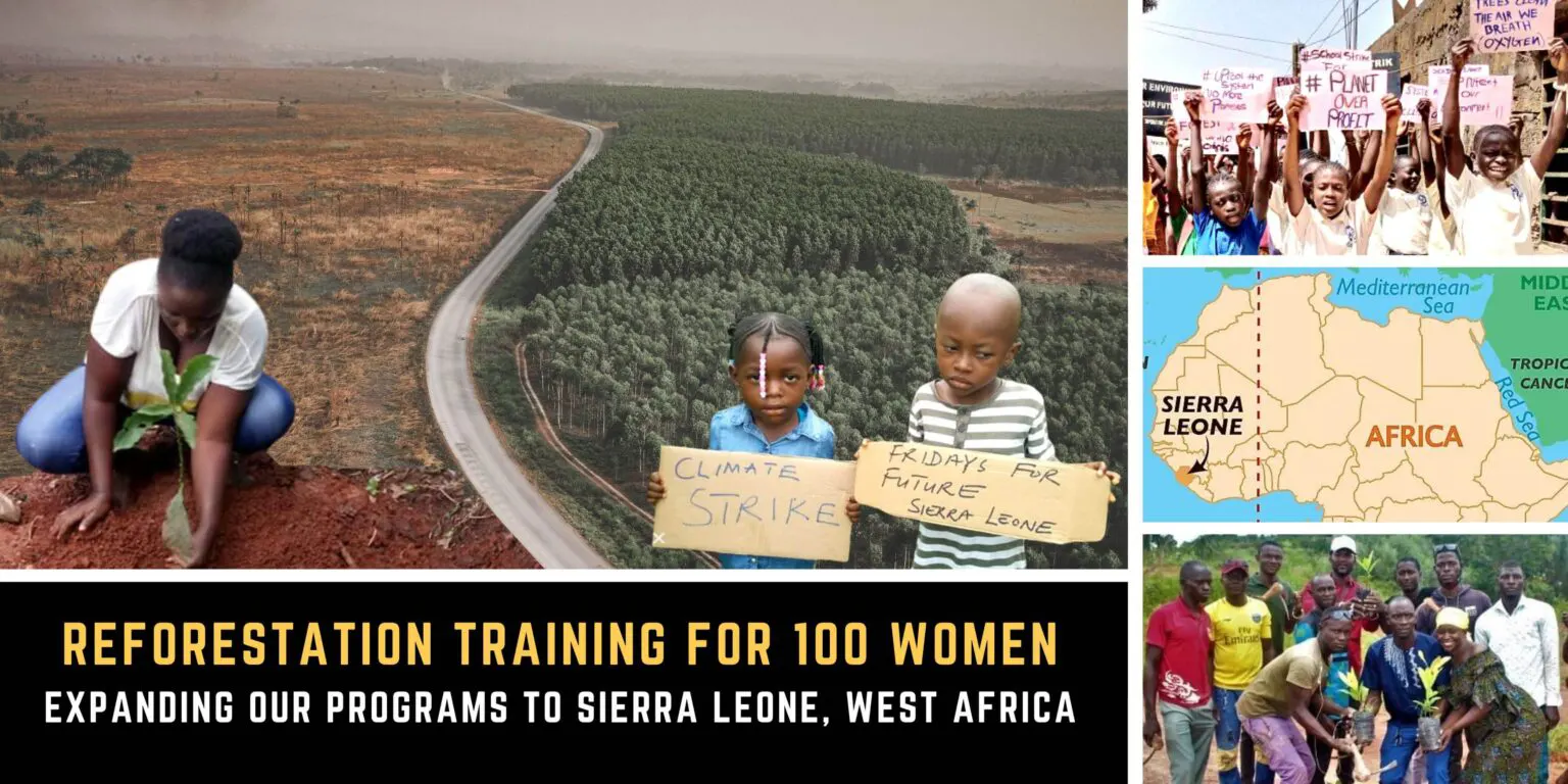 Reforestation Training for 100 Women in Sierra Leone, West Africa