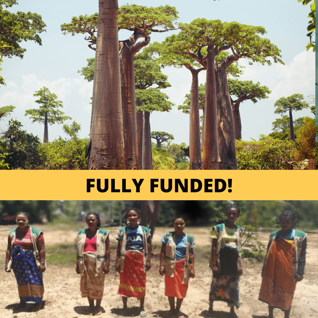 Empowering 6 Women Forest Rangers & Baobab Reforestation in Madagascar