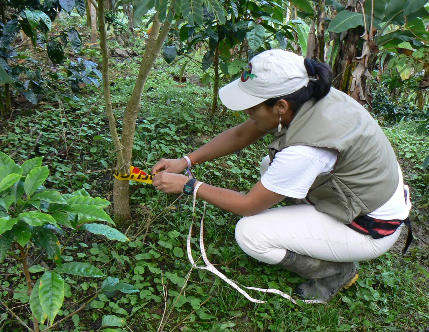 Empower Women Rangers to Protect Amazon Rainforest