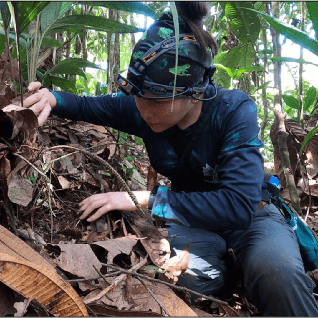Women Scientists Saving Wildlife: W4C’s Jaguar Research Station