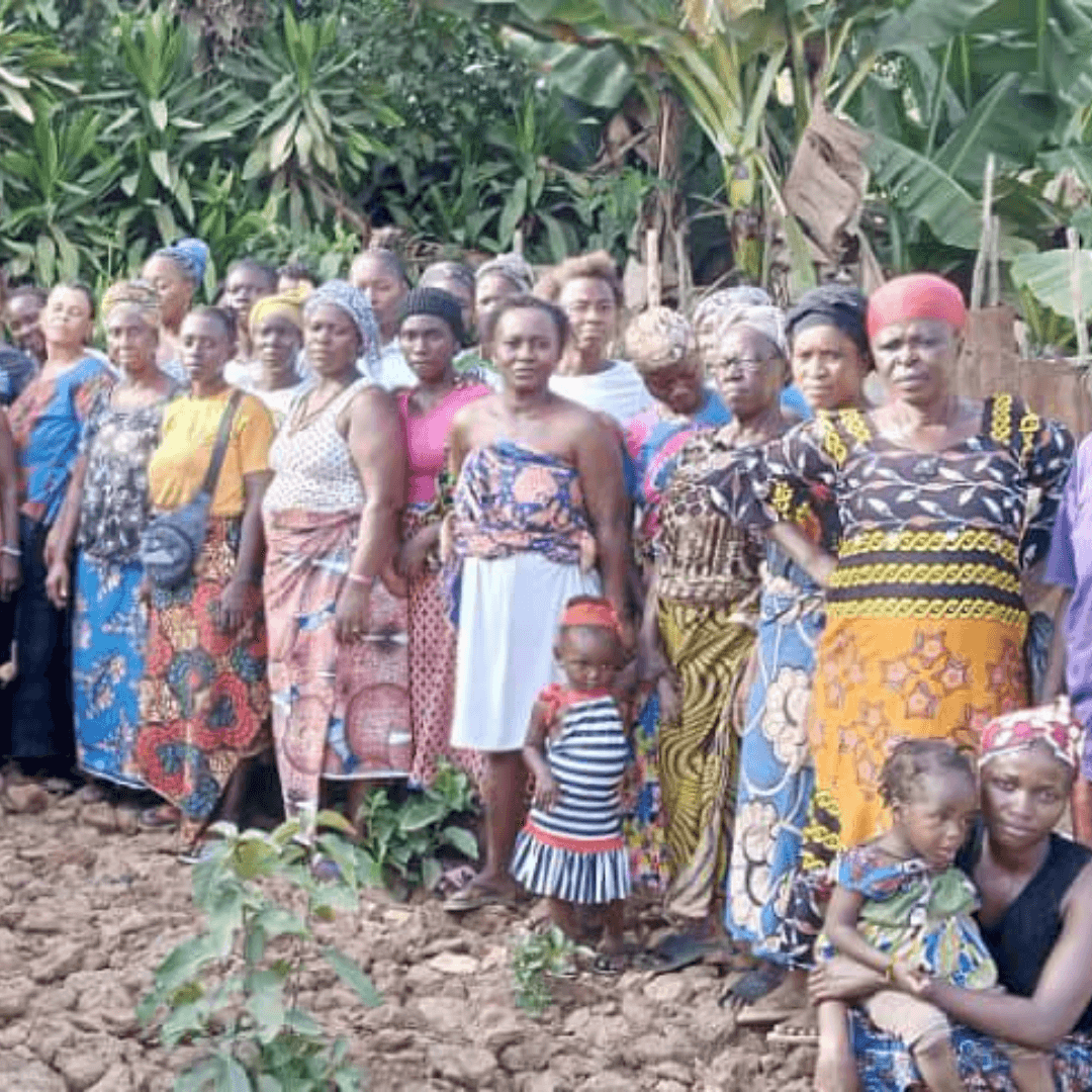 Women Reforesting Sierra Leone