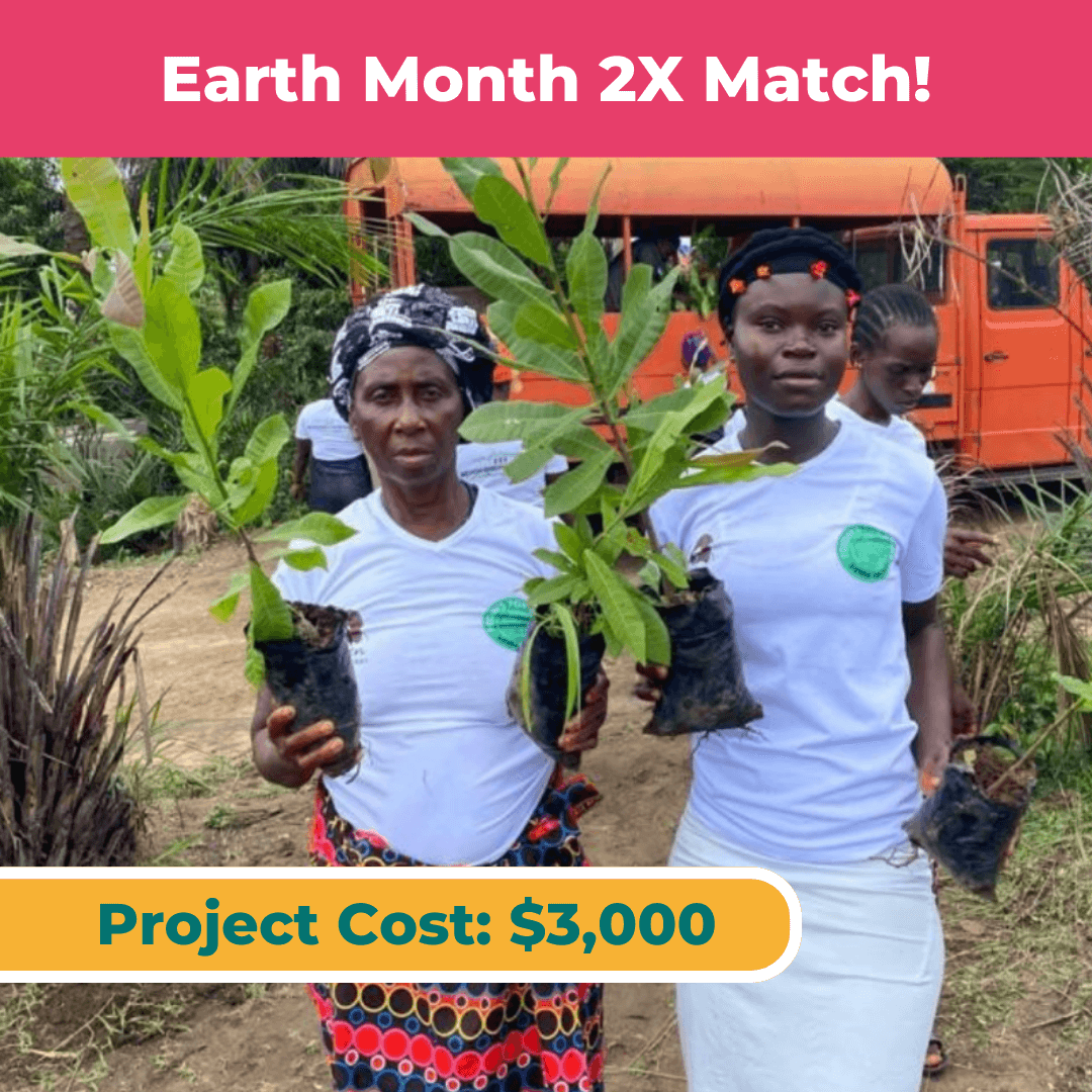 We are Planting Hope for National Love a Tree Day: Our Women in Sierra Leone are Reforesting, Mitigating Climate Change, and Restoring Nature.