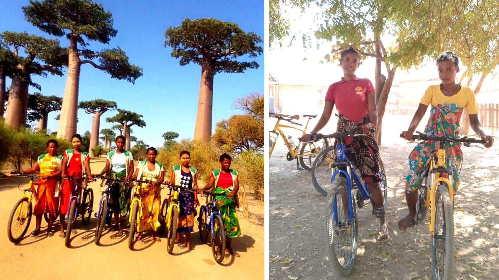 Protecting Madagascar’s Ancient Baobabs